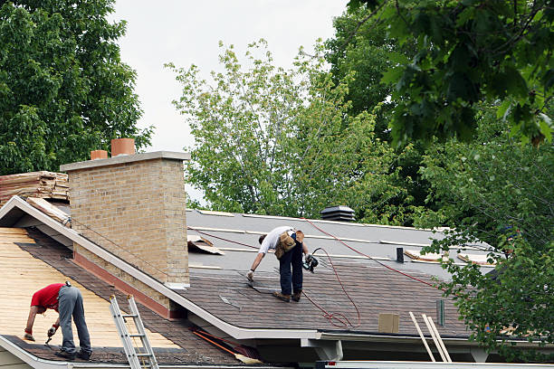 Best Roof Gutter Cleaning  in Fort Campbell North, KY